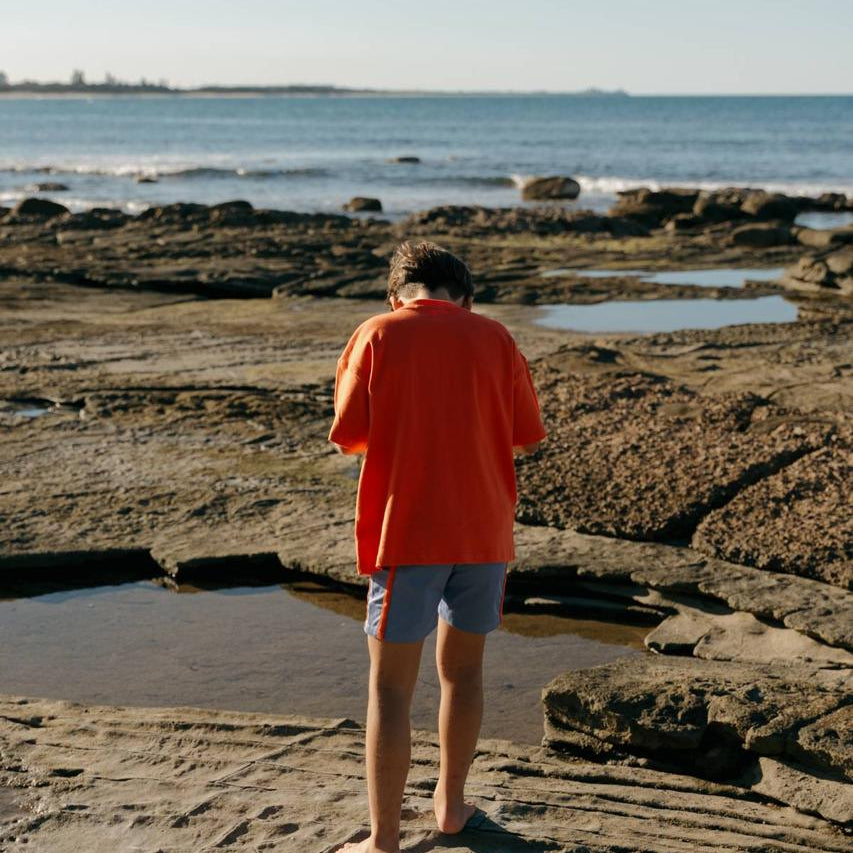 Blue Reef Shorts - boy exploring rock pools from behind