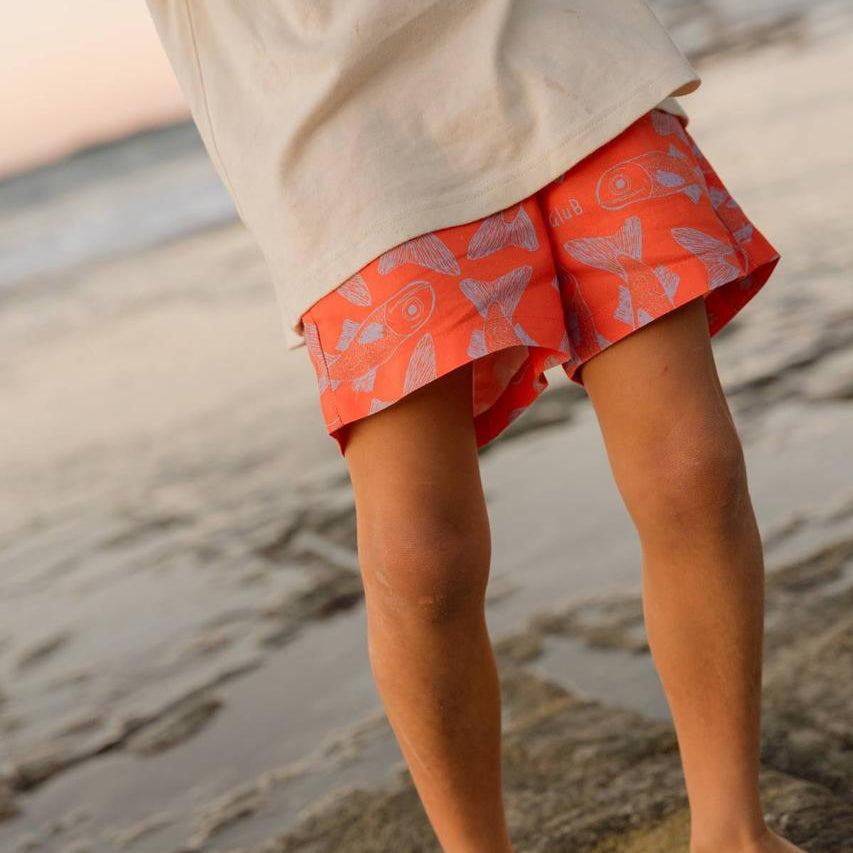 Big Glub Shorts - on child walking on rock pools at sunset