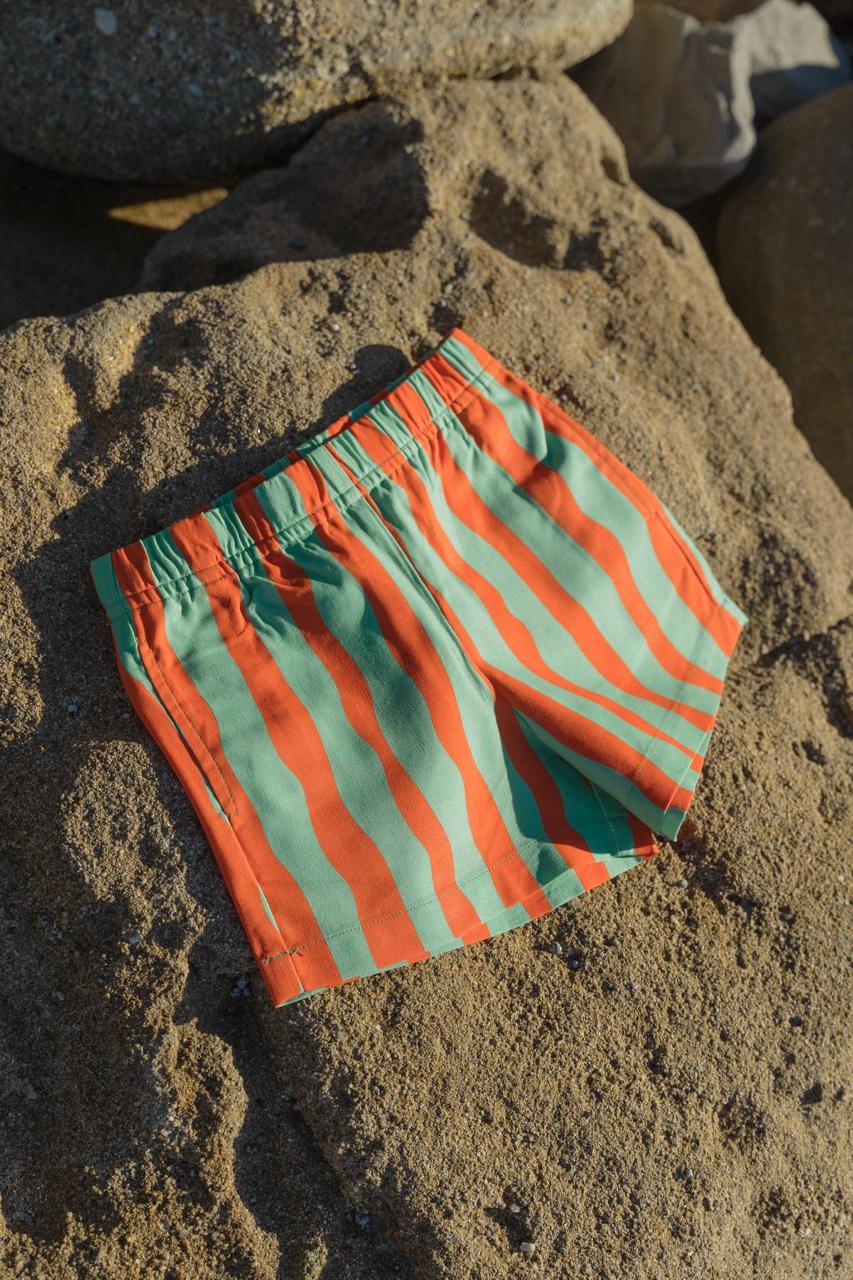 Aqua Shorts - flat lay on beach rocks back view