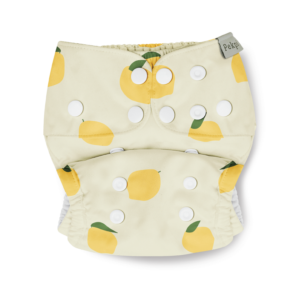 
                  
                    reusable cloth nappy | lemonade
                  
                